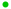 greendot2.gif (105 bytes)